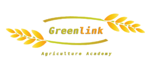 Greenlink-New - Future technology